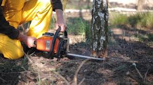 Best Lawn Irrigation Installation and Maintenance  in Knoxville, TN